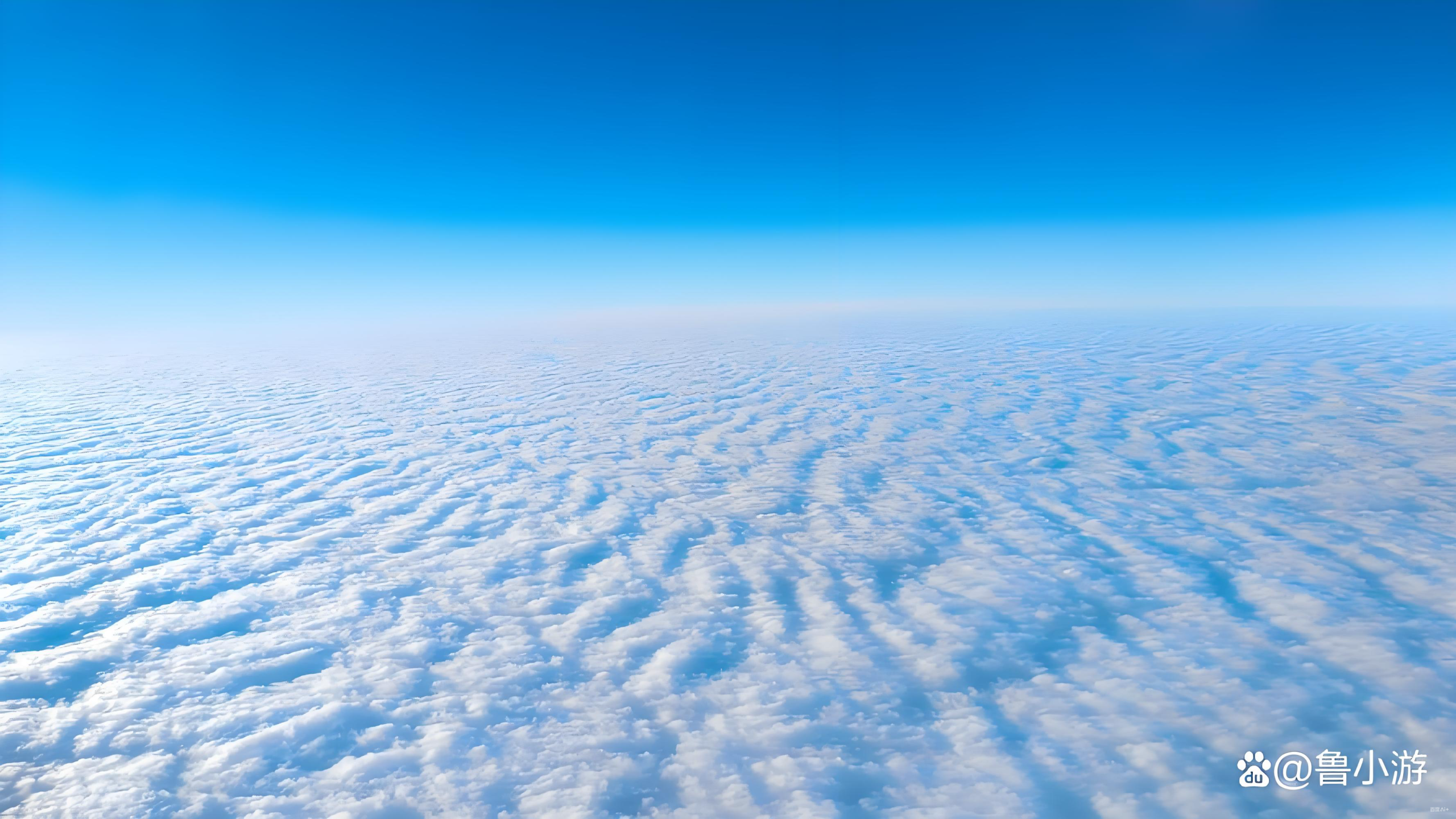 网创资源&实战项目 全网首发全年365天更新