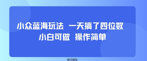 小众蓝海玩法 一天搞了四位数 小白可做 操作简单-51网创资源