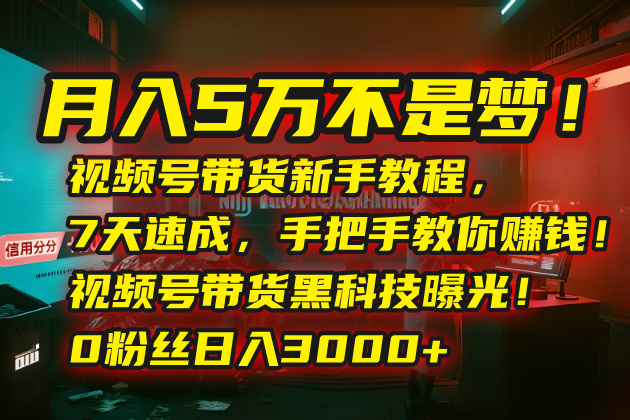 月入5万不是梦！视频号带货新手教程，7天速成，手把手教你赚钱！视频号…-51网创资源