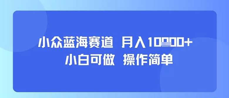 小众蓝海赛道，小白可做，操作简单，每天30分钟，月入1W+-51网创资源