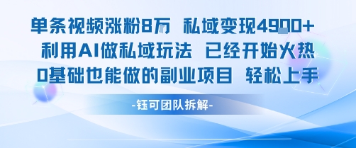 单条视频私域变现4.9k+利用AI做私域玩法 已经开始火热0基础也能做的副业项目轻松上手-51网创资源