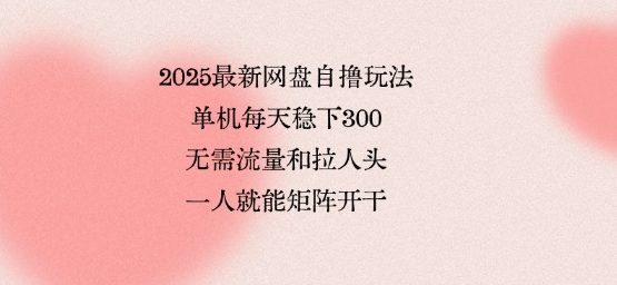 2025最新网盘自撸玩法，单机每天稳下3张，无需流量和拉人头，一个人就可轻松矩阵，全网独一份【揭秘】-51网创资源
