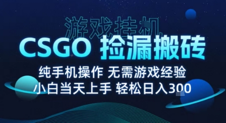 8月最新游戏搬砖，CSGO纯挂G，不需要玩游戏，实现真挂G，月入1W+【揭秘】-51网创资源