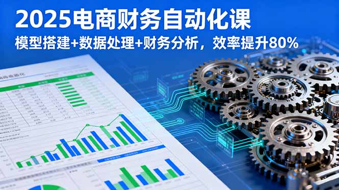 2025电商财务自动化课,模型搭建+数据处理+财务分析,效率提升80%-51网创资源