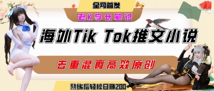 海外tiktok小说推文暴力项目，高停留率，高转化率，上手后一天搞顿饭钱不是问题-51网创资源