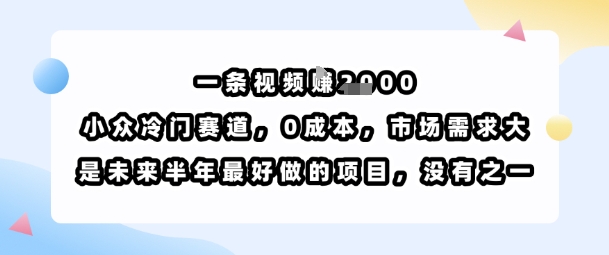 一条视频挣1k，小众冷门赛道，0成本，市场需求大，是未来半年最好做的项目，没有之一-51网创资源