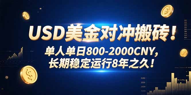 USD美金对冲搬砖!单人单日800-2000CNY，长期稳定运行8年之久!-51网创资源