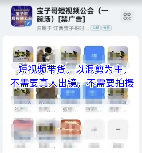 宝子哥头部团队短视频带货，以混剪为主，不需要真人出镜，不需要拍摄【更新8月】-51网创资源