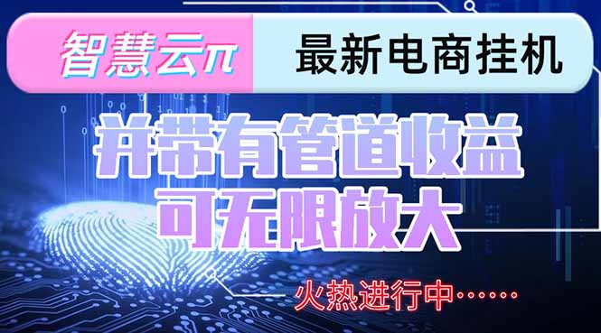 智慧云π电脑挂机单机每天收益300—500+ 并带有团队管道收益 可无限放大-51网创资源