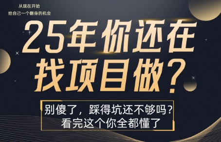 25年,你还在疯狂的找项目吗?别傻了,看完这个你都懂了【揭秘】-51网创资源