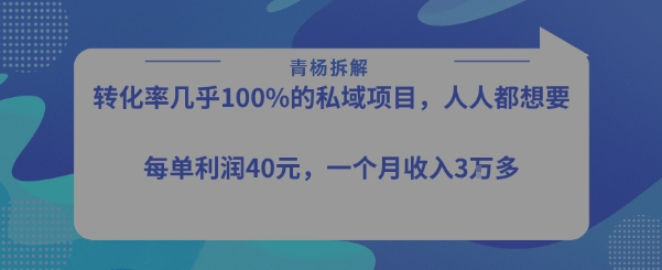 转化率最高的私域项目，每单利润40-50米，月入过1w-51网创资源