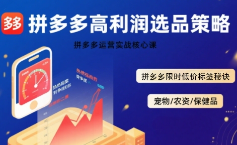 拼多多选品暴利技术实战课，拼多多高利润选品策略，拼多多限时低价标签秘诀-51网创资源