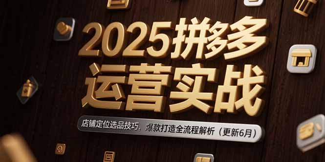2025拼多多运营实战：店铺定位选品技巧，爆款打造全流程解析(更新6月-51网创资源