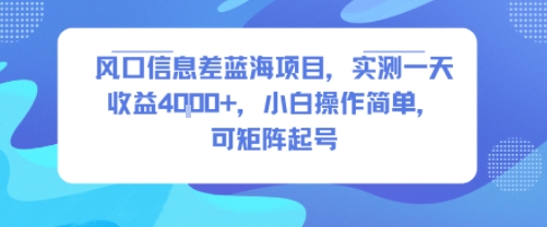 风口信息差蓝海项目，实测一天收益4k+，小白操作简单，可矩阵起号-51网创资源