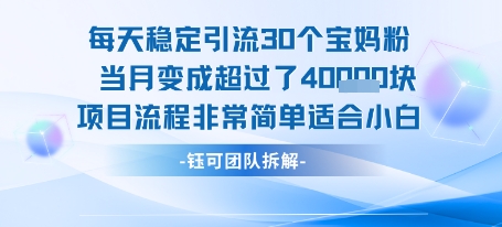 每天稳定引流30个人 当月变成超过了4个W项目流程非常简单适合小白-51网创资源