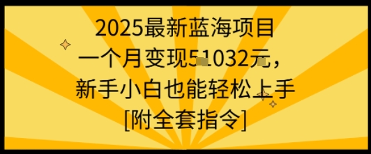 2025最新蓝海项目一个月变现1w+新手小白也能轻松上手【附全套指令】-51网创资源