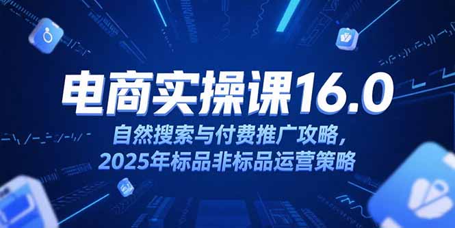 淘宝电商运营课16.0，自然搜索与付费推广攻略，2025年标品非标品运营策略-51网创资源