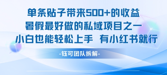 单条贴子带来5张的收益，暑假最好做的私域项目之一，小白也能轻松上手，有小红书就行-51网创资源