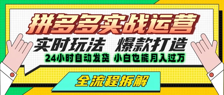 拼多多最新实战运营高投产：长久稳定项目，单店利润一天三位数-51网创资源
