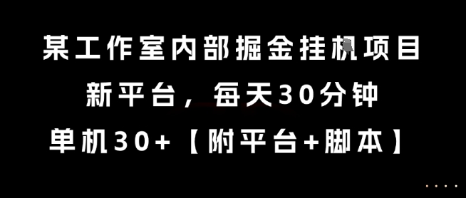 某工作室内部掘金挂G项目，新平台，每天30分钟，单机30+【揭秘】-51网创资源