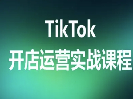 TikTok开店运营实战课程，TK跨境电商实操全流程-51网创资源