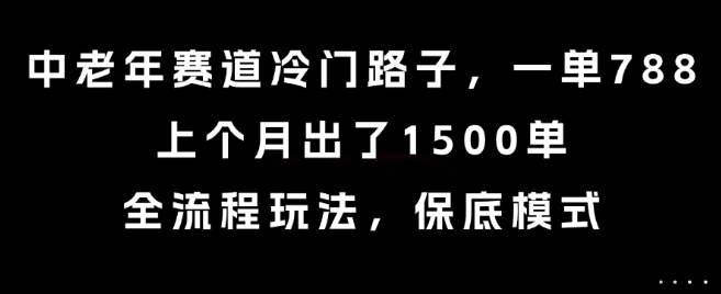 中老年赛道冷门路子，一单788，上个月出了1500单，全流程玩法，保底模式【揭秘】-51网创资源