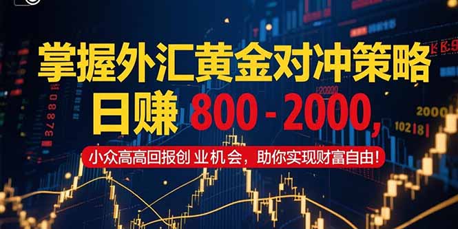 掌握外汇黄金对冲策略，日赚 800 – 2000，小众高回报创业机会，助你实…-51网创资源