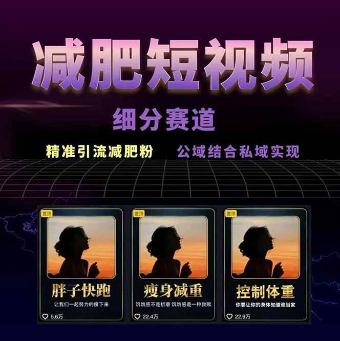 图片[2]-减肥短视频运营实战课：含素材制作、剪映教学，讲精准引流、变现设计与内容模板技巧-51网创资源