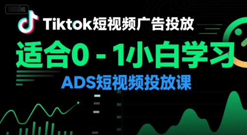 Tiktok短视频广告投放，适合0-1小白学习ADS短视频投放课-51网创资源