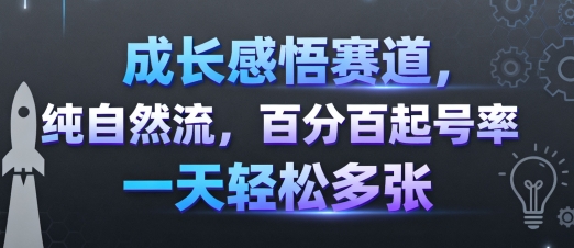 成长感悟赛道，纯自然流，百分百起号率 一天轻松多张-51网创资源