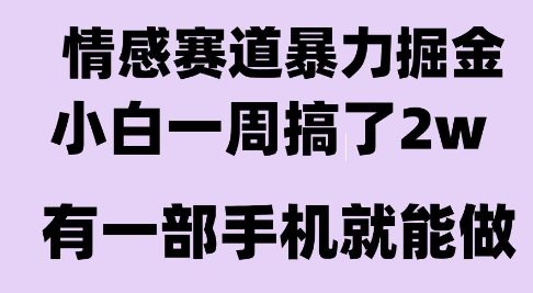 情感暴力掘金项目,新人操作一周挣了2W,长期稳定小白可做【揭秘】-51网创资源
