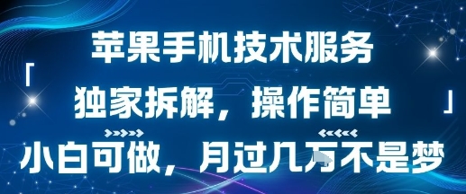 苹果手机技术服务，独家拆解，操作简单，小白可做，月过1W不是梦-51网创资源