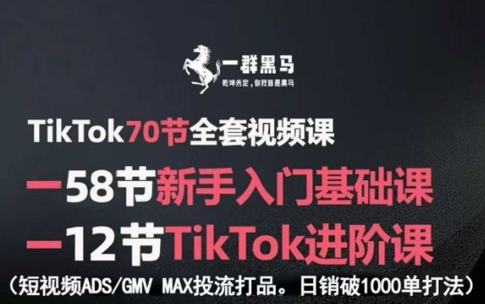 TikTok全套视频课，新手入门+进阶课，短视频ADS-GMV MAX投流打品，日销破1000单打法-51网创资源