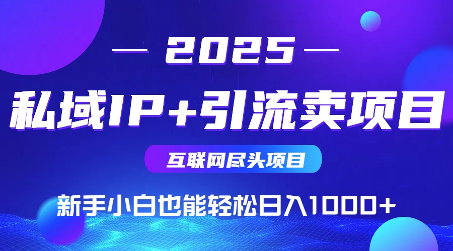 2025网创尽头项目，私域IP+引流，新手小白也能在家日入1000+-51网创资源