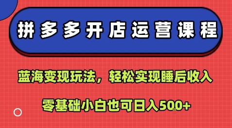 拼多多开店运营课程：蓝海变现玩法，轻松实现睡后收入，零基础小白也可日入5张-51网创资源