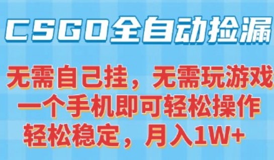 CSGO自动捡漏项目，最新独家玩法，一个手机可操作，新手小白轻松月入1W+，操作简单易上手【揭秘】-51网创资源