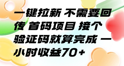 一键拉新 不需要回传 首码项目 接个验证码就算完成 一小时收益70+【揭秘】-51网创资源